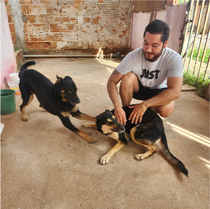 Wender cuidando de um cachorro