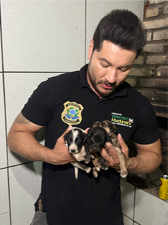 Wender com um cachorro no colo