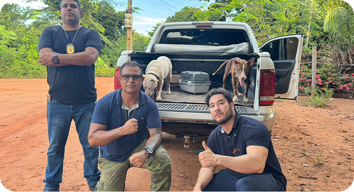 Equipe em resgate de animais